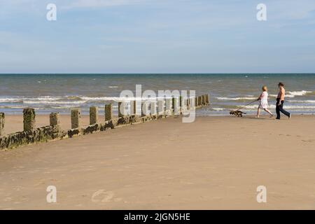 Un uomo e una donna camminano il loro cane sulla spiaggia più vicino al mare Kent Inghilterra UK Foto Stock