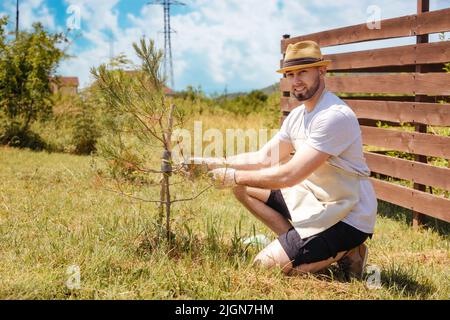 Un adulto sorridente caucasico barbuto contadino squadrando, indossando guanti, grembiule e cappello di paglia legare un piccolo pino. Sullo sfondo è soleggiato Foto Stock