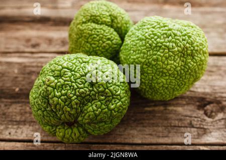 Diversi arancioni verdi di osage su closeup legno Foto Stock