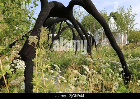 Connections (Ryan McMahon, medaglia di bronzo), Show Garden, RHS Hampton Court Palace Garden Festival 2022, Londra, Inghilterra, Regno Unito, Europa Foto Stock