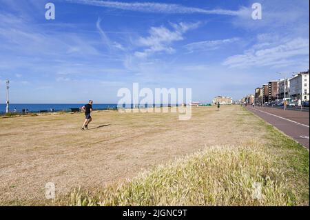 Hove , Brighton UK 12th Luglio 2022 - l'erba è arroccata su Hove Lawns , Brighton come il caldo tempo di sole continua in tutta la Gran Bretagna con una mancanza di pioggia nelle ultime settimane : Credit Simon Dack / Alamy Live News Foto Stock