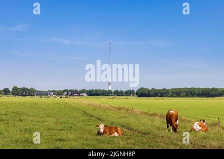 Paesaggio con torre di trasmissione Smilde Paesi Bassi Foto Stock