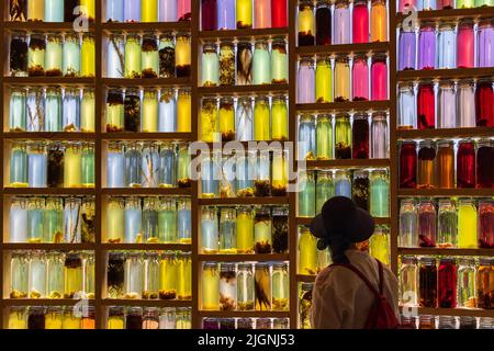 Almere, Paesi Bassi - Giugno 15: Mostra casa di ricerca con muro di bottiglie al Floriade Expo 2022 crescente città verdi ad Almere Amsterdam Paesi Bassi Foto Stock