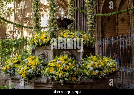 Chiostro della Cattedrale di Barcellona con la fontana e la 'ou com balla' (l'uovo come balla), una tradizione catalana del giorno del Corpus (Barcellona, Spagna) Foto Stock