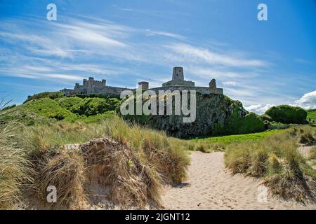 Il castello di Bambburgh, Northumberland, Inghilterra, Regno Unito, è stato osservato attraverso le dune di sabbia e la spiaggia in una giornata estiva intensa con cieli blu e nuvole spia. Foto Stock