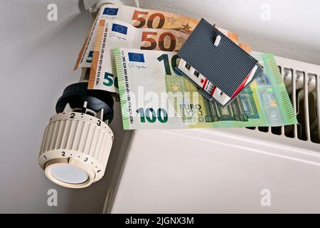 Radiatore e termostato con banconote in euro e casa come simbolo per l'aumento dei costi di riscaldamento Foto Stock