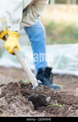 Vista frontale di una giovane donna bionda che lavora nei campi e che tiene strettamente gli strumenti dell'agricoltura indossando guanti gialli Foto Stock