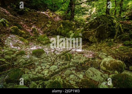 Il letto di un torrente di montagna ora secco a causa della siccità. Abruzzo, Parco Nazionale d'Abruzzo Lazio e Molise, Italia, Europa Foto Stock