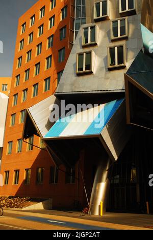 Il Frank Gehry ha progettato Ray e Maria Stata Center si trova nel campus del Massachusetts Institute of Technology (MIT) a Cambridge, vicino Boston Foto Stock