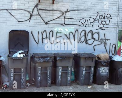 Bidoni di spazzatura in un edificio di appartamenti con graffiti sul muro a Brooklyn, New York. Foto Stock