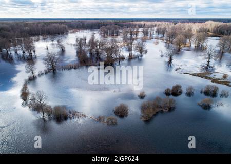 Paesaggio inondato durante la cosiddetta quinta stagione nel Parco Nazionale Soomaa, Estonia Foto Stock