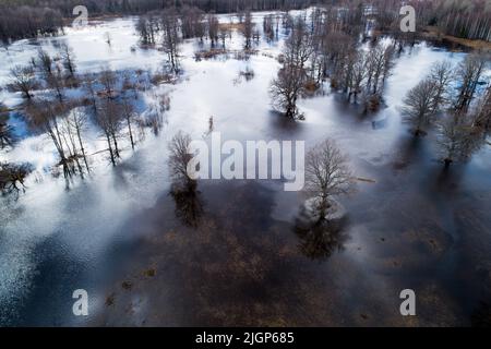 Paesaggio inondato durante la cosiddetta quinta stagione nel Parco Nazionale Soomaa, Estonia Foto Stock