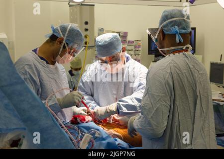 Un chirurgo e un personale NHS effettuano la chirurgia del ginocchio, anche nota come artroplastica, in un ospedale NHS. Foto Stock