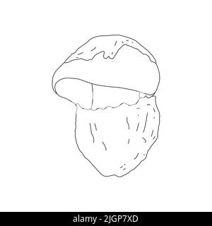 Linea di funghi Logo artistico vari funghi disegno a mano. Illustrazione Vettoriale