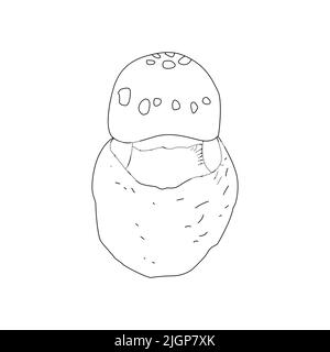 Linea di funghi Logo artistico vari funghi disegno a mano. Illustrazione Vettoriale