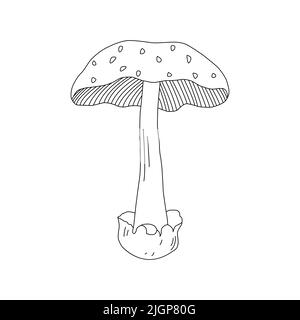 Linea di funghi Logo artistico vari funghi disegno a mano. Illustrazione Vettoriale