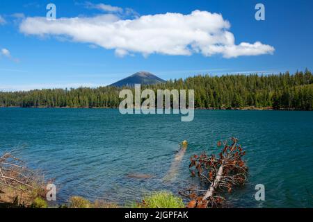 Suttle Lake con Black Butte, Deschutes National Forest, Santiam Pass-McKenzie Pass National Scenic Byway, Oregon Foto Stock