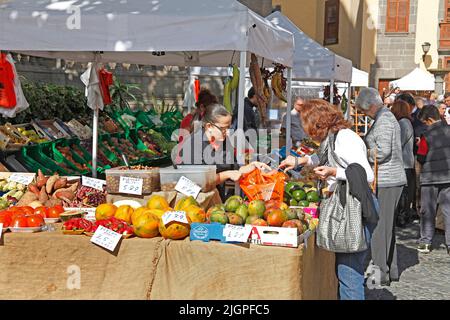 Mercato dietro la Cattedrale di Santa Ana, Plaza del Pilar Nuevo, centro storico, Vegueta, Las Palmas, Grand Canary, Isole Canarie, Spagna, Europa Foto Stock