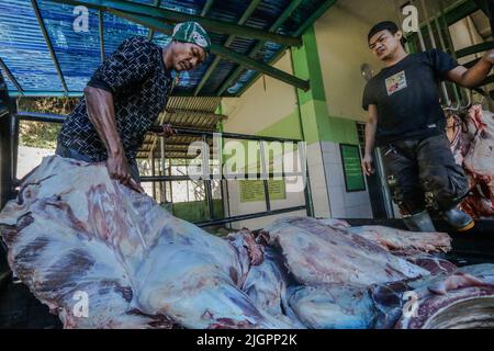 Bogor, Indonesia. 10th luglio 2022. (NOTA DELL'EDITORE: Contenuto grafico) il lavoratore porta un taglio di carne bovina nel macello di Bogor City a Bogor, West Java, Indonesia, il 10 luglio 2022. Sulla base dei dati forniti dal ministero dell'agricoltura indonesiano, la domanda di importazioni di carni bovine in Indonesia nel 2022 raggiungerà le 266.065 tonnellate. L'Australia è diventata il paese d'origine per la prima importazione di carni bovine in Indonesia. India al secondo posto, al terzo posto gli Stati Uniti. (Foto di Andi M Ridwan/INA Photo Agency/Sipa USA) Credit: Sipa USA/Alamy Live News Foto Stock