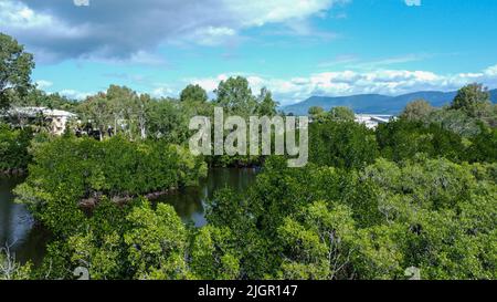 Vista aerea del Queesnland tropicale con case e sfondo di montagna Foto Stock