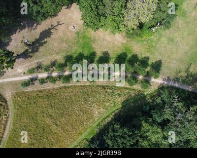 Giù fucilato di alberi lungo un percorso nel parco di Barcley Hoddesdon Foto Stock