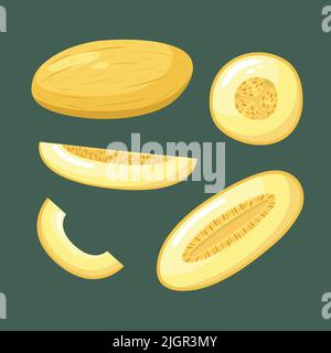 Set vettoriale di illustrazioni melone. Frutta estiva Illustrazione Vettoriale
