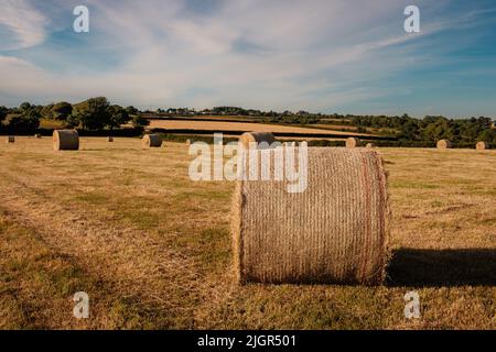 Scena rurale inglese di fieno in balle di grandi dimensioni in campo estivo Foto Stock