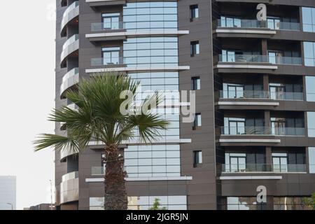 Al Khobar edificio in vetro con una palma al mattino in via Prince turkey. Foto Stock