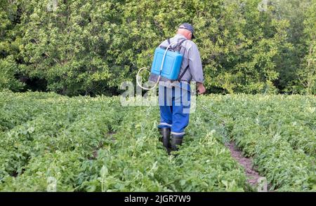 Un coltivatore che applica insetticidi al suo raccolto di patata. Gambe di un uomo in dispositivi di protezione individuale per l'applicazione di pesticidi. Un uomo spruzza il pha Foto Stock
