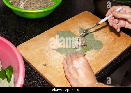 Una donna prepara il cibo a casa. La carne macinata viene posta in foglie d'uva su un asse di legno, dolma di cottura. Foto Stock