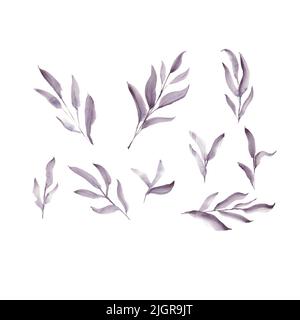 Foglie viola. Acquerello illustrazione botanica. Composizione delle foglie. Illustrazione isolata. Per stampa e decorazione Foto Stock