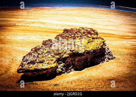 Un pezzo di casuarina Beach Rocks a Darwin, Northern Territory, Australia. Foto Stock