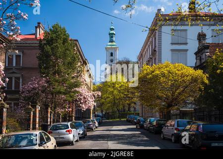 Una vista sul centro della strada con alberi in una giornata di sole a Cieszyn, Polonia Foto Stock