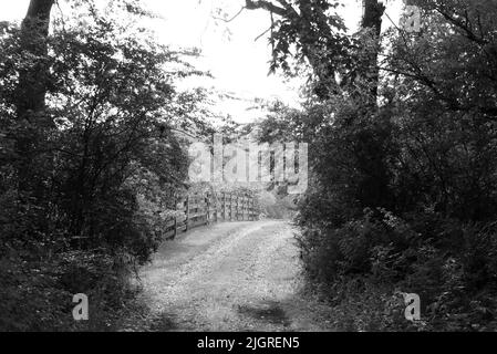 Una foto in scala di grigi di uno stretto sentiero in campagna Foto Stock