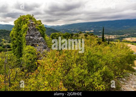 Un resto di muro ricoperto di edera si erge dalla fitta vegetazione tra le rovine di Mirabel vicino a Mirabel-et-Blacons, Drôme, Francia. Mirabel era un tempo un villaggio fortificato sulla cima di una collina (village perché). Registrato per la prima volta nel 1165 come “Castrum de Mirabel”, apparteneva al vescovo di Die. Carenze idriche, accesso difficile e nuove fabbriche nella valle portarono all’abbandono graduale del villaggio all’inizio del XX secolo. Il suo castello è poi scomparso. Foto Stock