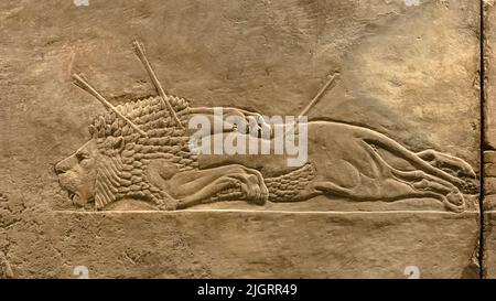 Rilievi assiri esposti al British Museum di Londra, Inghilterra Foto Stock