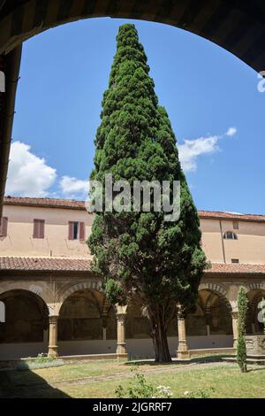 Chiostro Verde o Chiostro Verde nella Basilica di Santa Maria Novella a Firenze Foto Stock