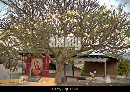 Immagine di Madre Maria dietro la lapide di una tomba sotto un albero di plumeria, nel cimitero cattolico vicino alla chiesa di Santo Petrus-Paulus a Lamalera, Wulandoni, Lembata, Nusa Tenggara orientale, Indonesia. Foto Stock