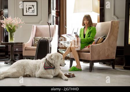 Donna d'affari con cane nella hall dell'hotel Foto Stock