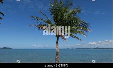 Dunk Island, Queensland, Australia . Una volta una popolare località turistica che è stata gravemente danneggiata da un ciclone nel 2011, Dunk è stato recentemente venduto. Luglio 2022 Foto Stock