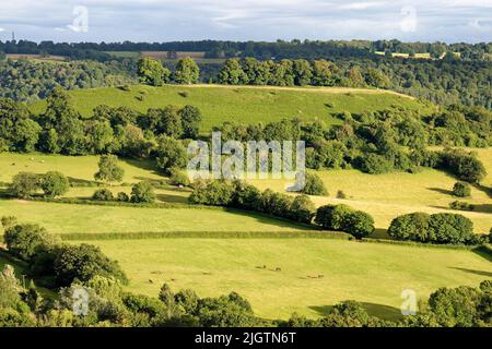 Downham Hill visto da Long Down, Cotswold Outlier vicino a Dursley, Gloucestershire Foto Stock