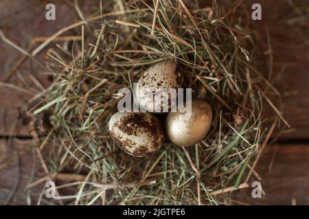 Poche uova colorate in paglia nido piatto posare Foto Stock