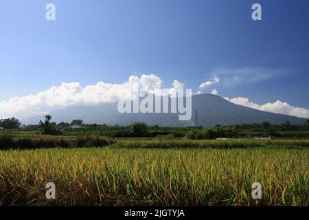 Vista panoramica del Monte Marapi dalla città di Bukittinggi a Sumatra Ovest Indonesia durante l'alba con risaie e cielo blu sfondo. Foto Stock