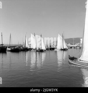 46. Portogallo. Il giornale fotografico è disponibile presso B.M.A. + Album fotografici. Acquisizione: Libri e materiale di archivio. Foto scattate 1959-11-15,12 Foto in serie. Secondo le note: Portogallo. Costa atlantica, Setubal, 15/11 -59. Foto di Fiskehamnen.Foto di un certo numero di barche da pesca con vele issate. Foto Stock