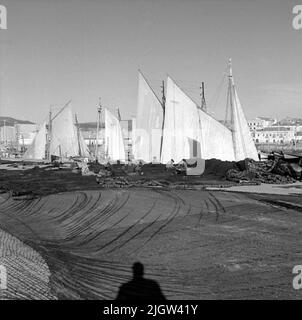 46. Portogallo. Il giornale fotografico è disponibile presso B.M.A. + Album fotografici. Acquisizione: Libri e materiale di archivio. Foto scattate 1959-11-15,12 Foto in serie. Secondo le note: Portogallo. Costa atlantica, Setubal, 15/11 -59. Foto di Fiskehamnen. In primo piano sono visibili reti da pesca diffuse. Vi è un certo numero di barche con vele issate e nel fondo è visibile una società. Foto Stock