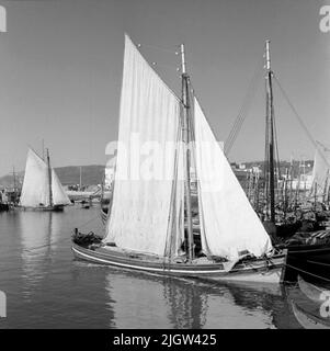 46. Portogallo. Il giornale fotografico è disponibile presso B.M.A. + Album fotografici. Acquisizione: Libri e materiale di archivio. Foto scattate 1959-11-15,12 Foto in serie. Secondo le note: Portogallo. Costa atlantica, Setubal, 15/11 -59. Foto di Fiskehamnen. Foto di alcune barche da pesca con vele issate nel porto. Foto Stock