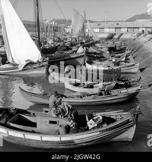46. Portogallo. Il giornale fotografico è disponibile presso B.M.A. + Album fotografici. Acquisizione: Libri e materiale di archivio. Foto scattate 1959-11-15,12 Foto in serie. Secondo le note: Portogallo. Costa atlantica, Setubal, 15/11-59. Foto da Fiskehamnen.Foto da un certo numero di barche da pesca più piccole lungo il molo del porto. Sullo sfondo c'è una rivista. Foto Stock
