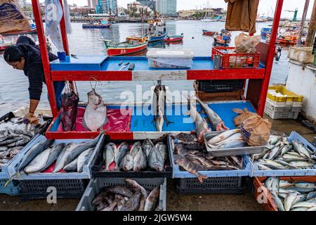 Una donna vende pesce fresco in un mercato portuale presso il bacino della barca da pesca di Antofagasta, Cile. Foto Stock
