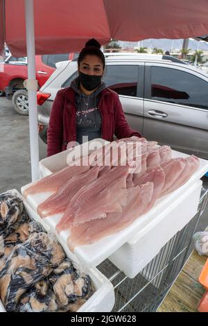 Una donna vende filetti di pesce fresco in un mercato portuale presso il bacino della barca da pesca di Antofagasta, Cile. Foto Stock