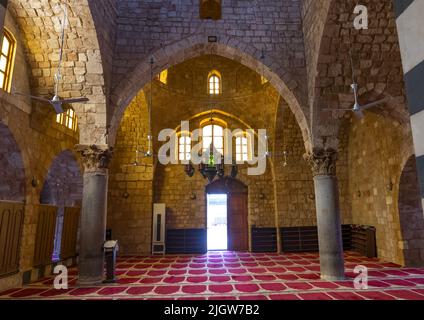 Moschea Taynal Vista interna, Governatorato del Nord, Tripoli, Libano Foto Stock